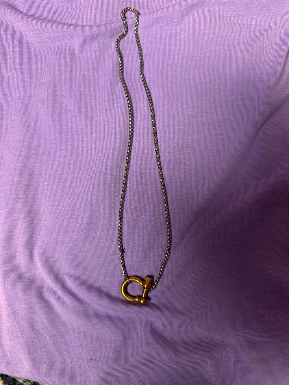 Stainless horseshoe  Pendant Necklace